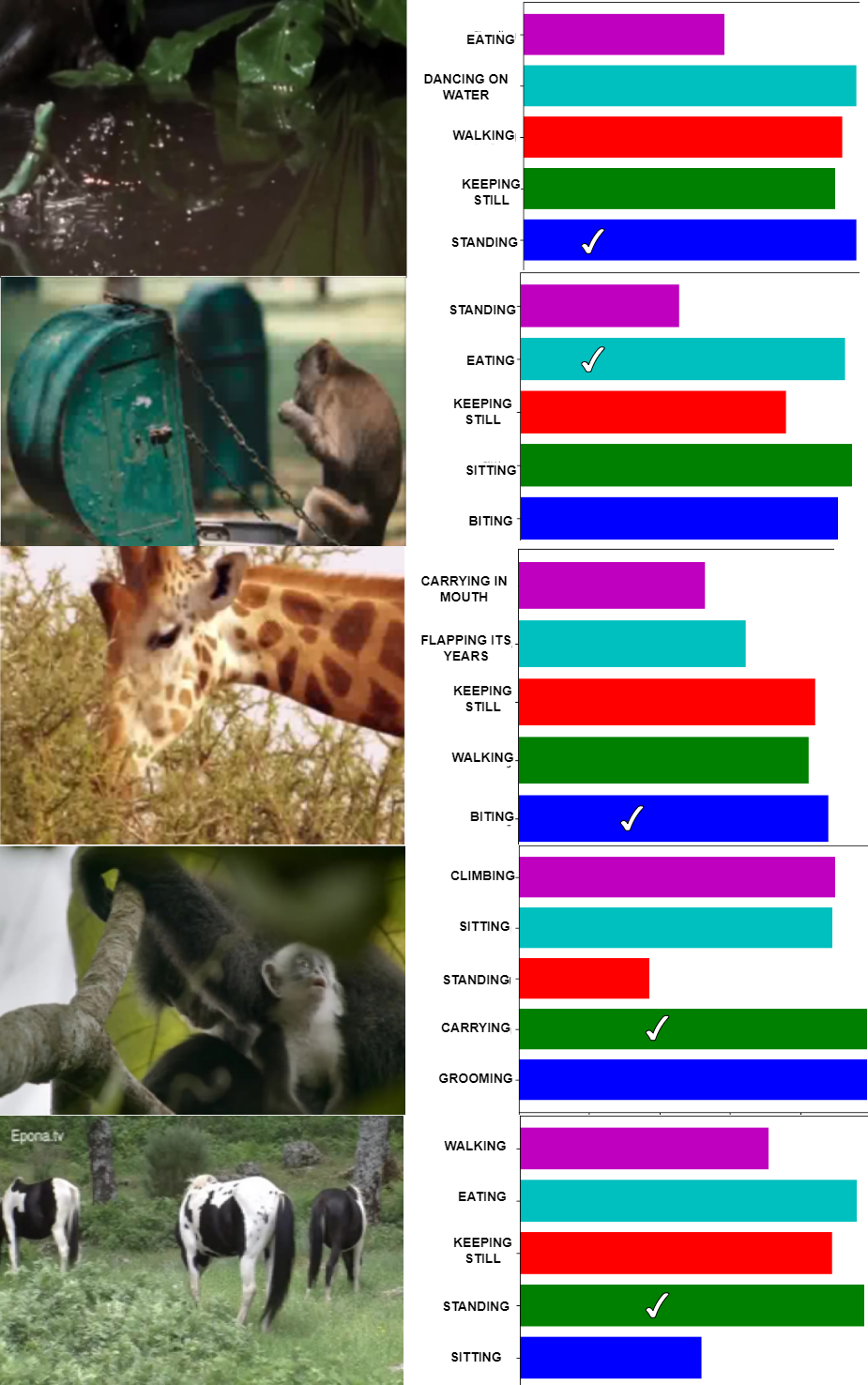 Prediction confidence scores