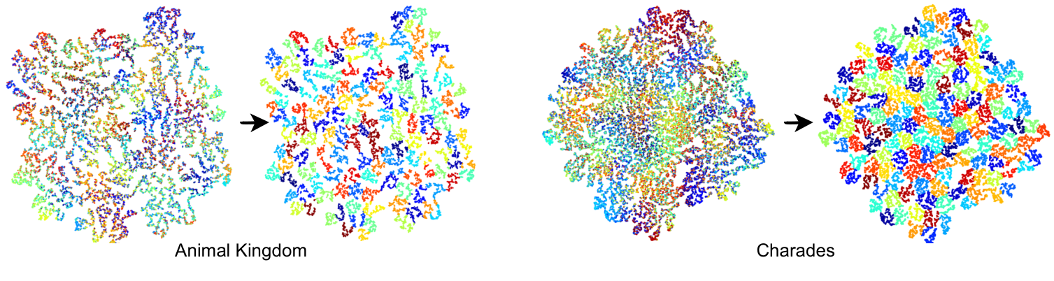 t-SNE Embeddings