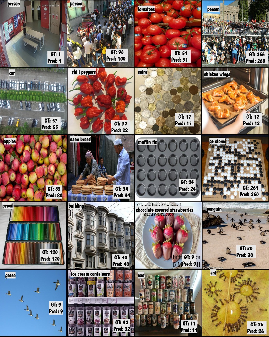 ABACUS count understanding gallery: diverse categories from sparse (GT=1) to dense (GT=261)
